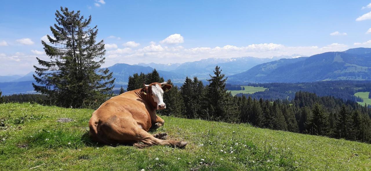 Ferienwohnung Boeck, Wengen Im Allgaeu Weitnau Dış mekan fotoğraf